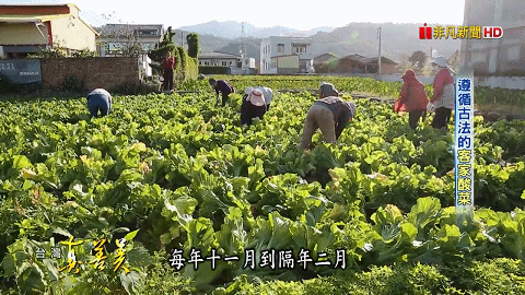 1760581684503356.gif 1760581684503356.gif