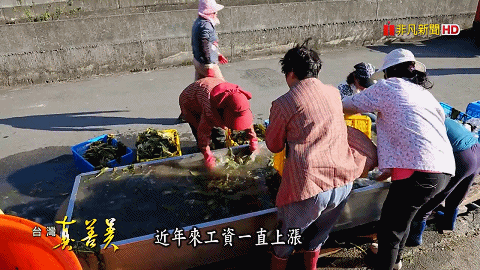 1760581721387833.gif 1760581721387833.gif