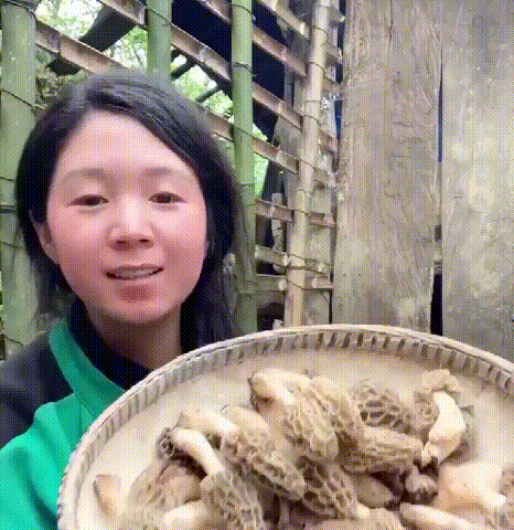 1761190196814182.gif 1761190196814182.gif